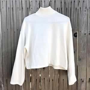 Zara Turtleneck Sweater